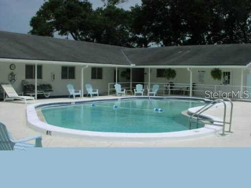180 Sky Loch Drive W Dunedin FL 34698 TB8528643 image27