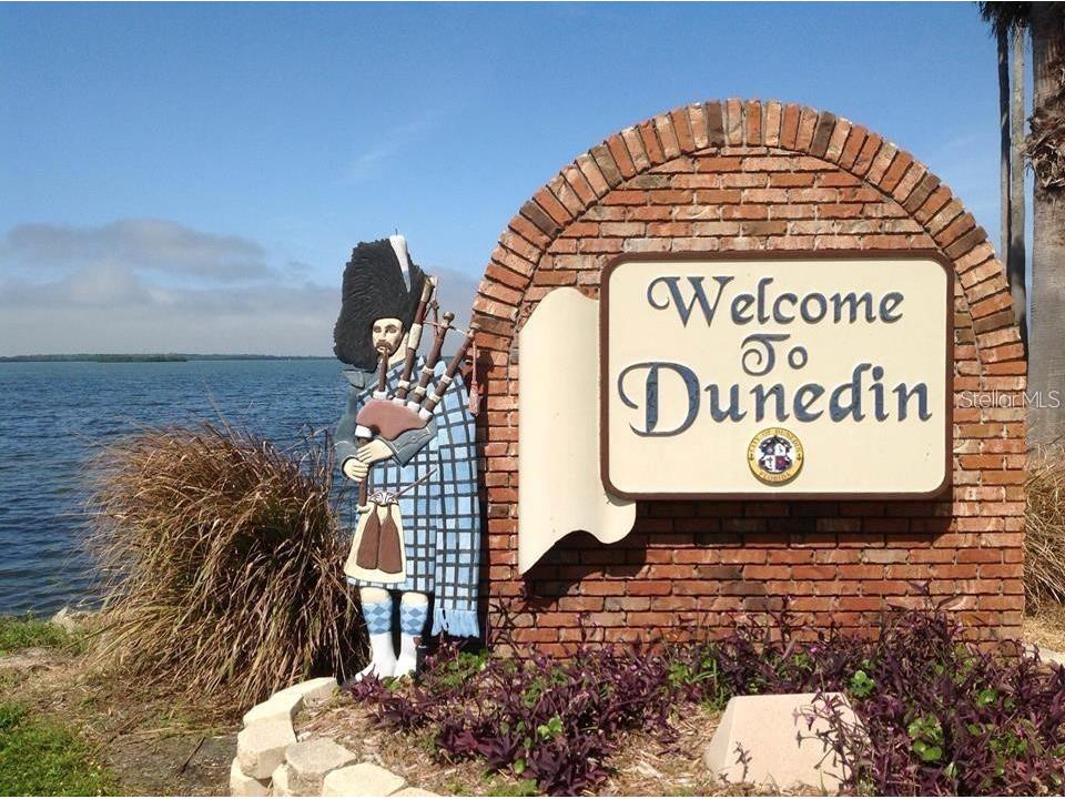 180 Sky Loch Drive W Dunedin FL 34698 TB8528643 image30