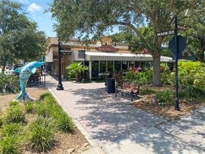 180 Sky Loch Drive W Dunedin FL 34698 TB8528643 image37
