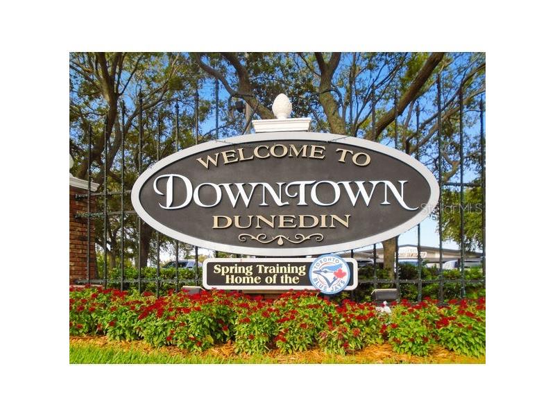 180 Sky Loch Drive W Dunedin FL 34698 TB8528643 image40