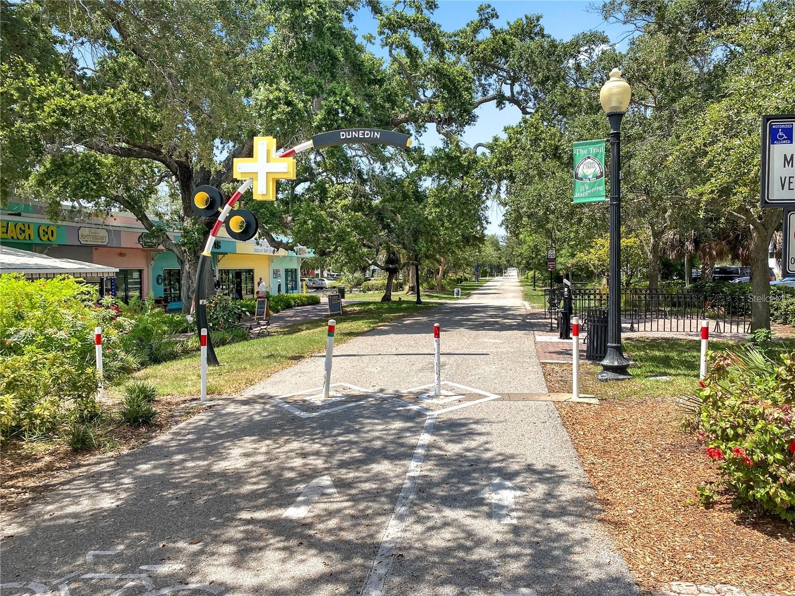 180 Sky Loch Drive W Dunedin FL 34698 TB8528643 image41