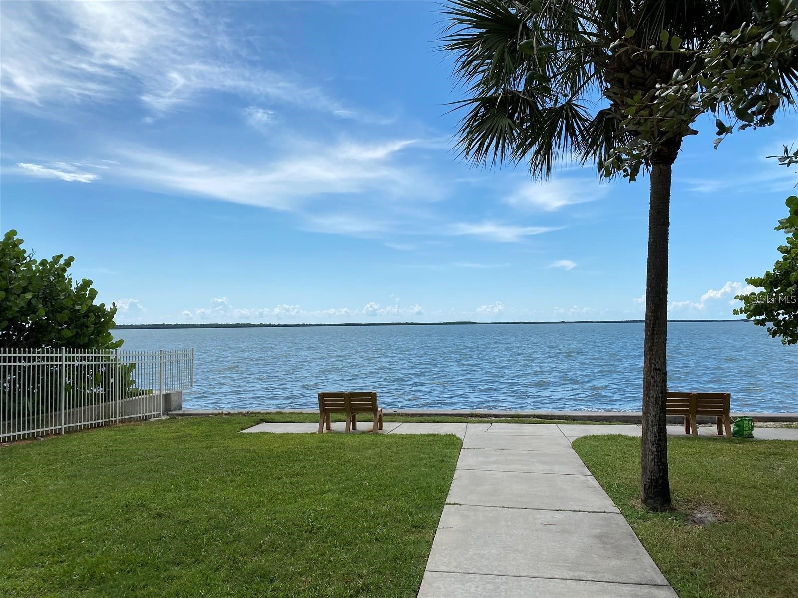 180 Sky Loch Drive W Dunedin FL 34698 TB8528643 image42