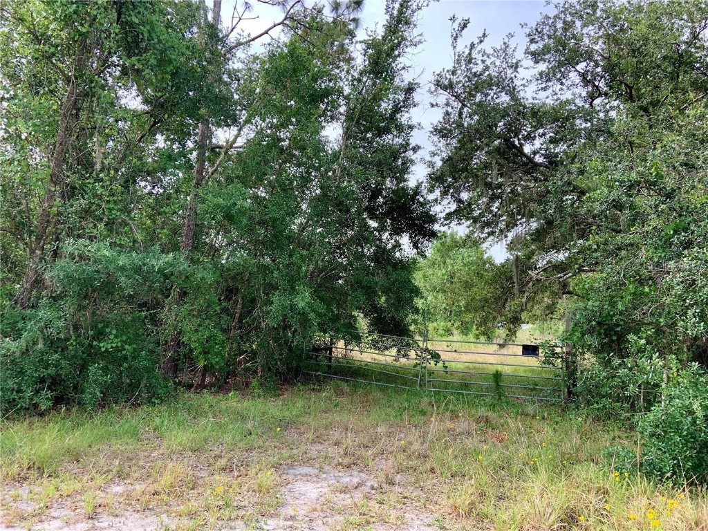 180 Tall Oaks Trail Zolfo Springs FL 33890 O6172260 image1