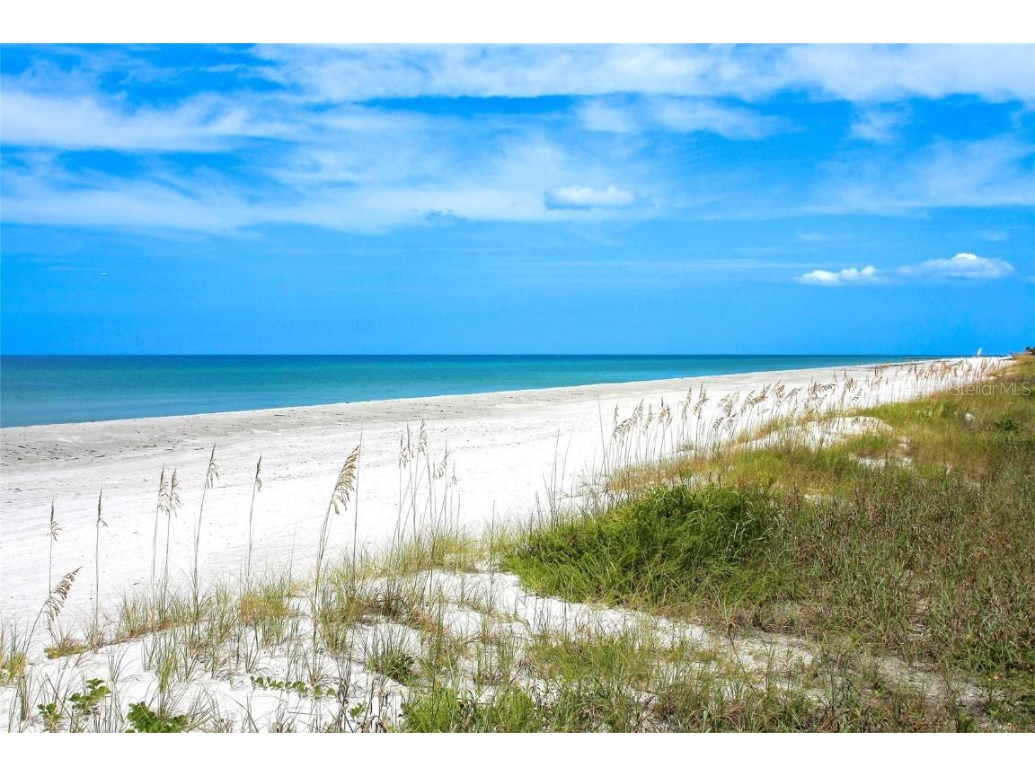 1800 Benjamin Franklin Drive #A1003 Sarasota FL 34236 A4673278 image55