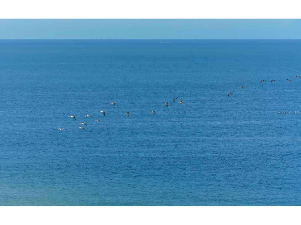 1800 Benjamin Franklin Drive #A901 Sarasota FL 34236 - GULF OF MEXICO A4631045 image51