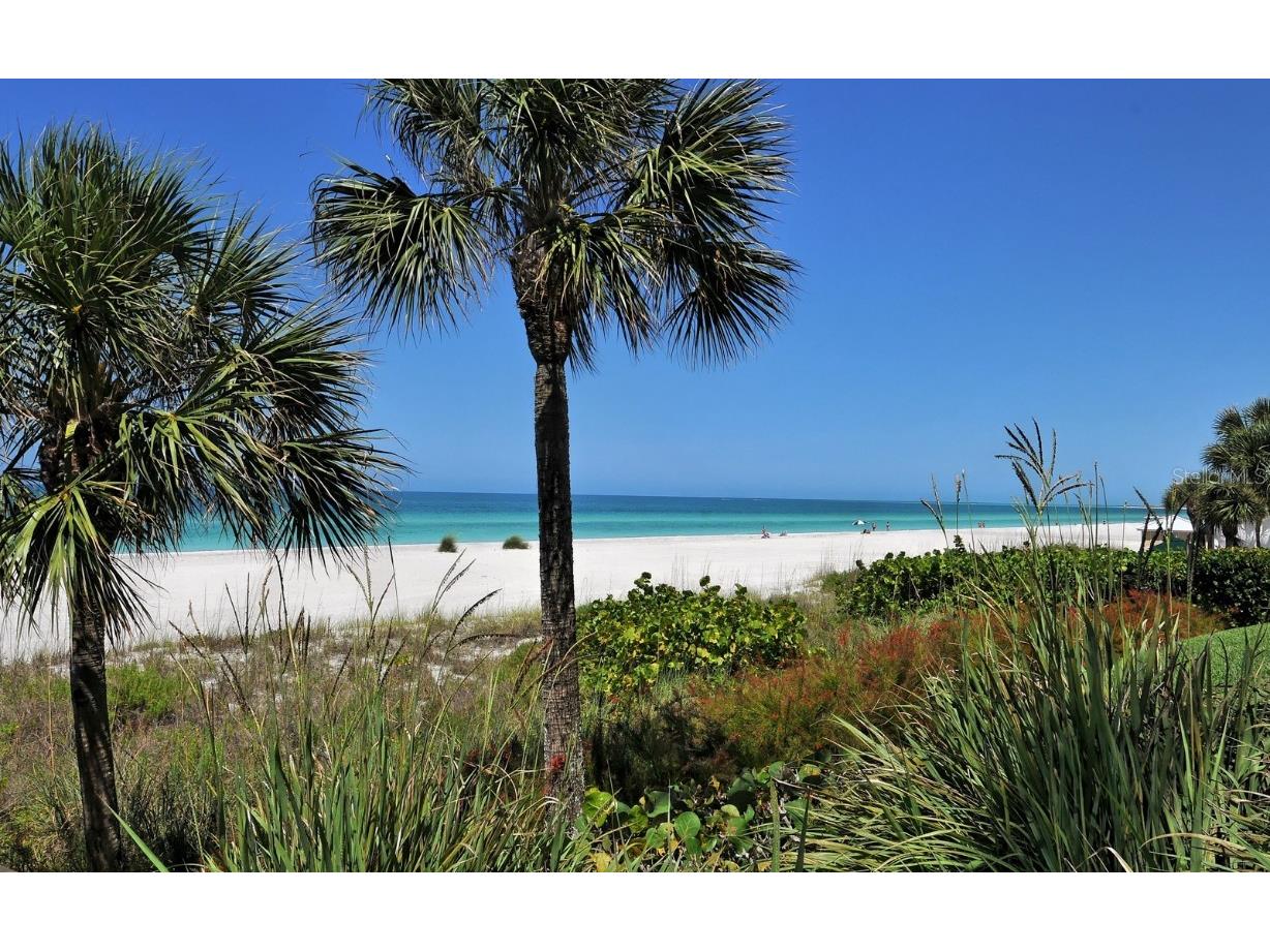 1800 Benjamin Franklin Drive #A901 Sarasota FL 34236 - GULF OF MEXICO A4631045 image56