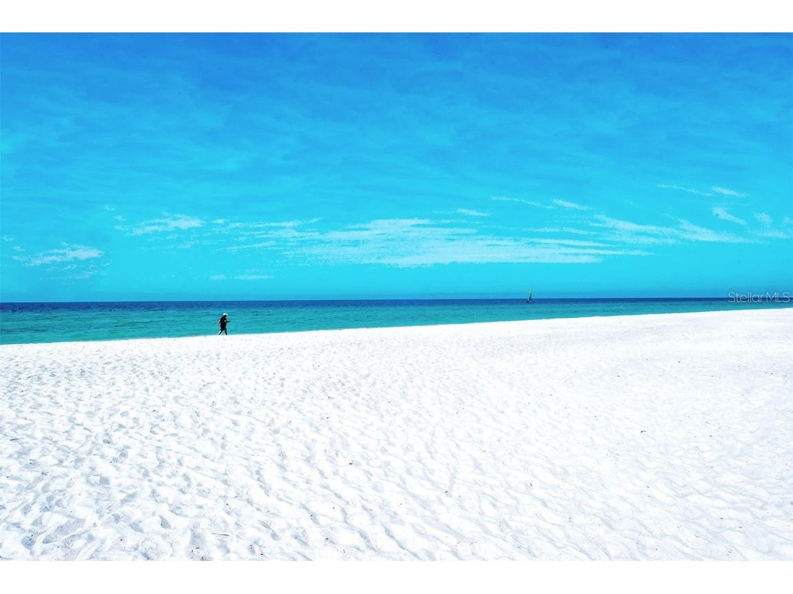 1800 Benjamin Franklin Drive #B207 Sarasota FL 34236 - GULF OF MEXICO A4666804 image37