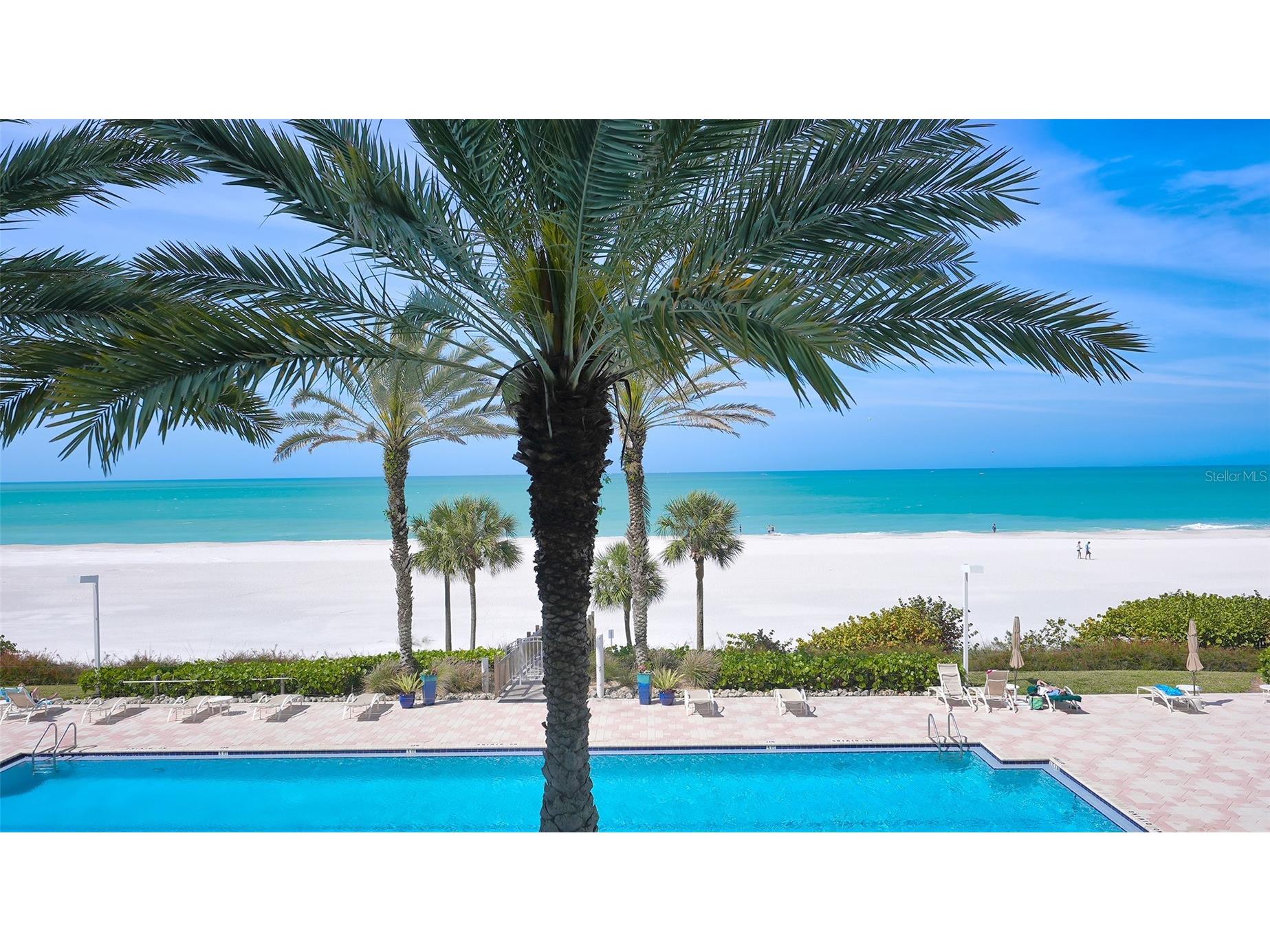 1800 Benjamin Franklin Drive #B308 Sarasota FL 34236 A4689391 image43