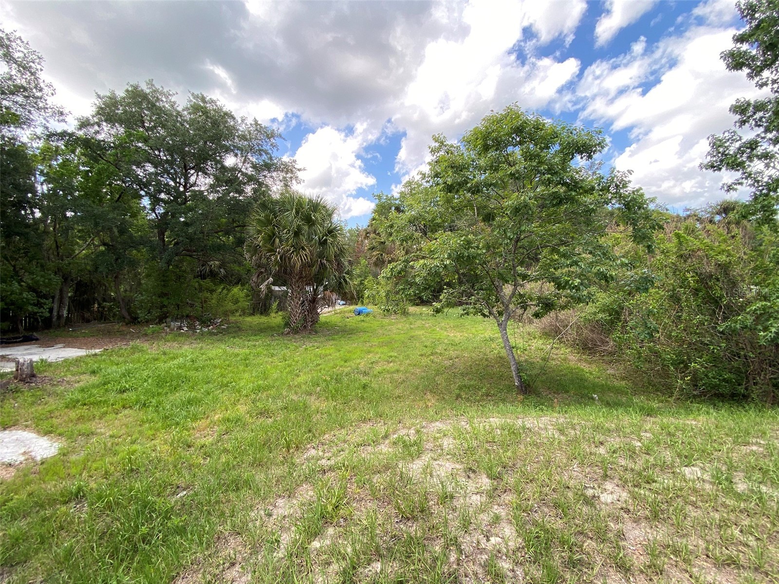 1800 County Road 426 N Oviedo FL 32765 O6409359 image13