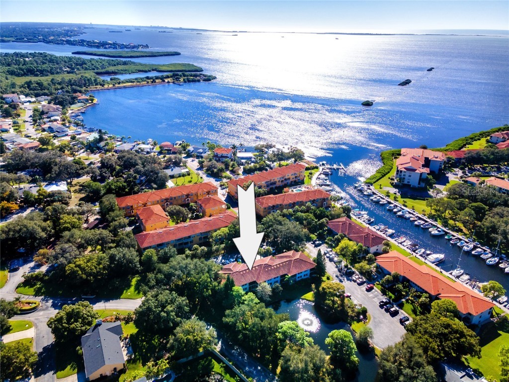 1800 Mariner Drive #3 Tarpon Springs FL 34689 U8224226 image1