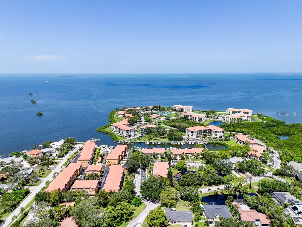 1800 Mariner Drive #8 Tarpon Springs FL 34689 TB8412869 image5