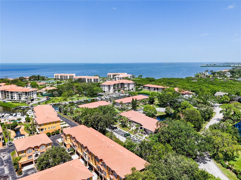 1800 Mariner Drive #8 Tarpon Springs FL 34689 TB8412869 image6