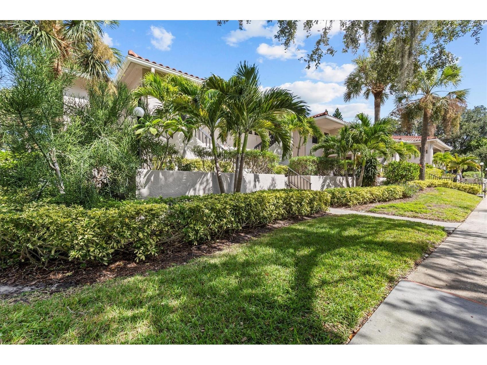 1800 Mariner Drive #9 Tarpon Springs FL 34689 TB8439898 image2