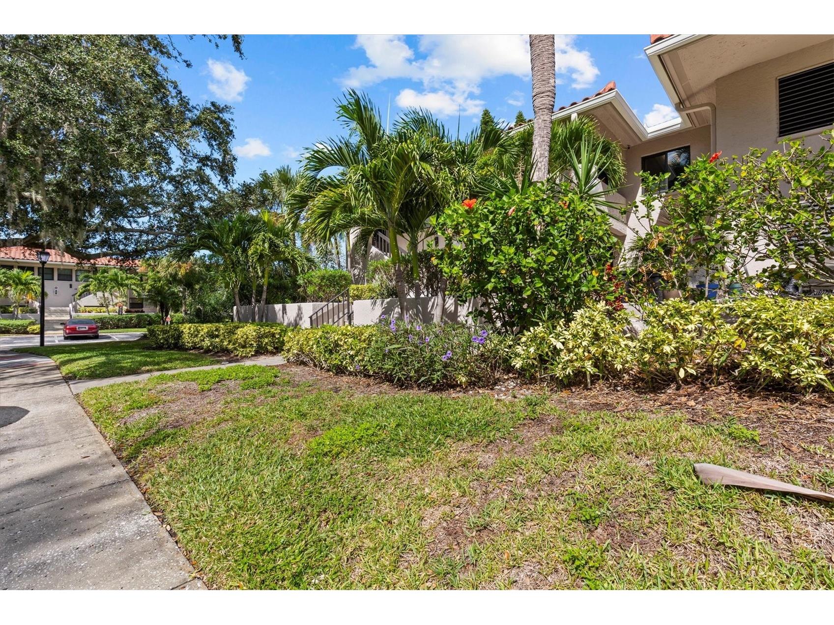 1800 Mariner Drive #9 Tarpon Springs FL 34689 TB8439898 image3