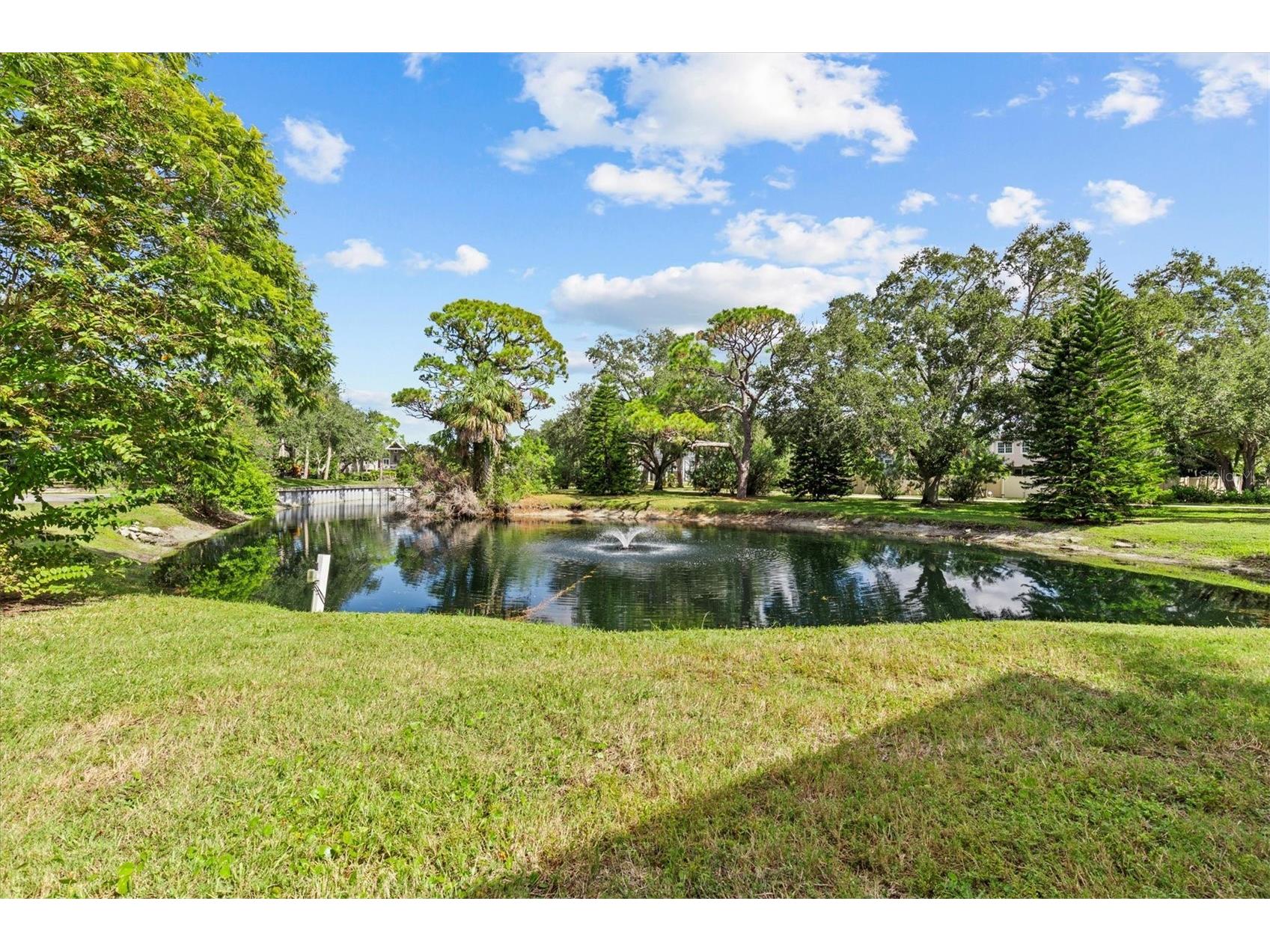 1800 Mariner Drive #9 Tarpon Springs FL 34689 TB8439898 image30