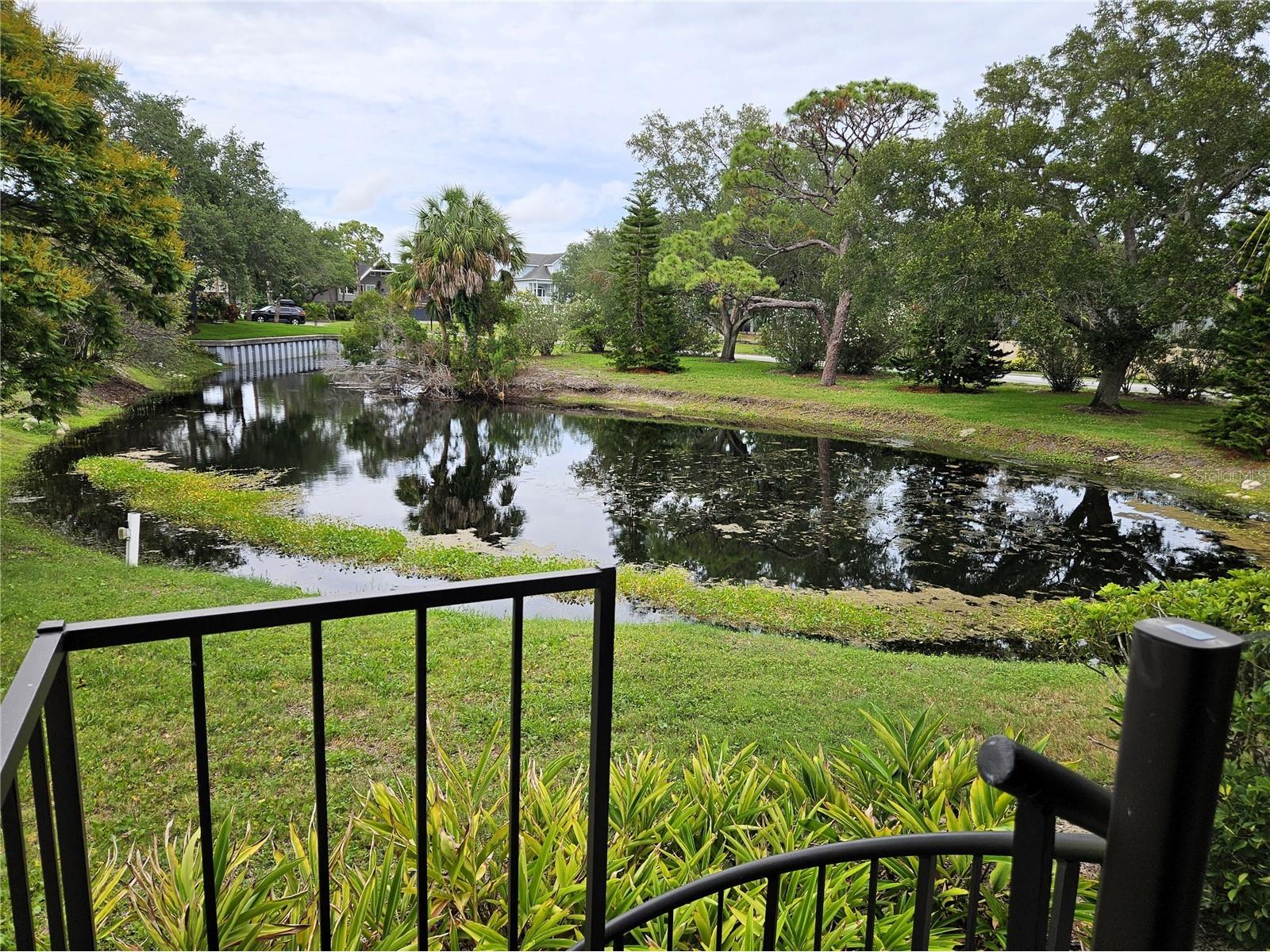 1800 Mariner Drive #9 Tarpon Springs FL 34689 TB8512233 image26