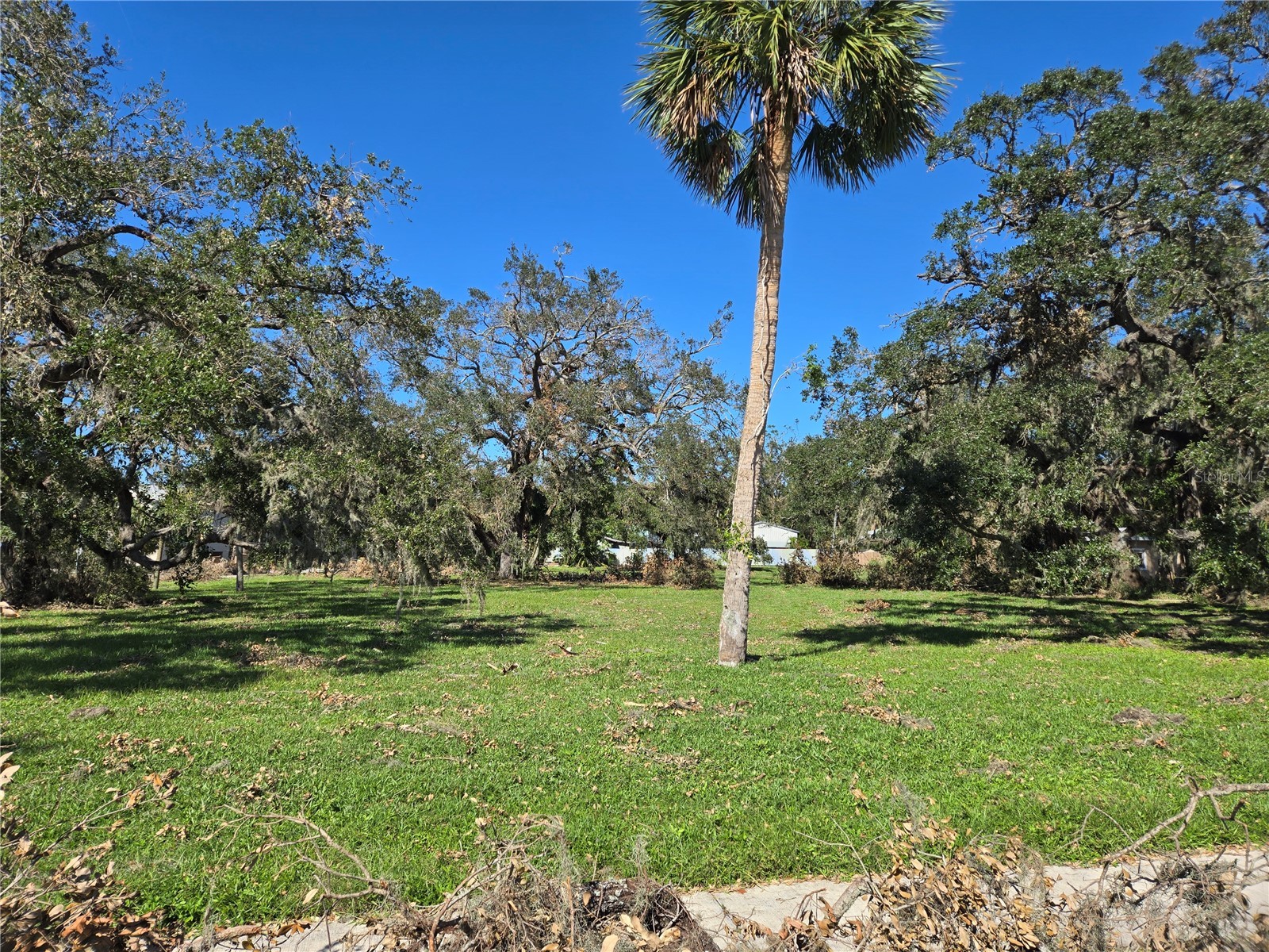 1800 N Tamiami Trail Sarasota FL 34234 TB8492304 image1