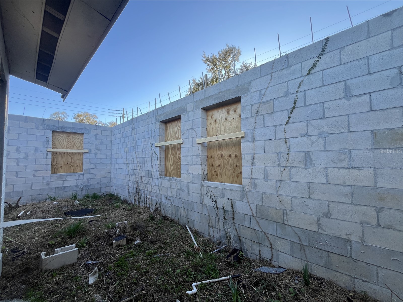 1800 Palm Lane Orlando FL 32803 O6368846 image32