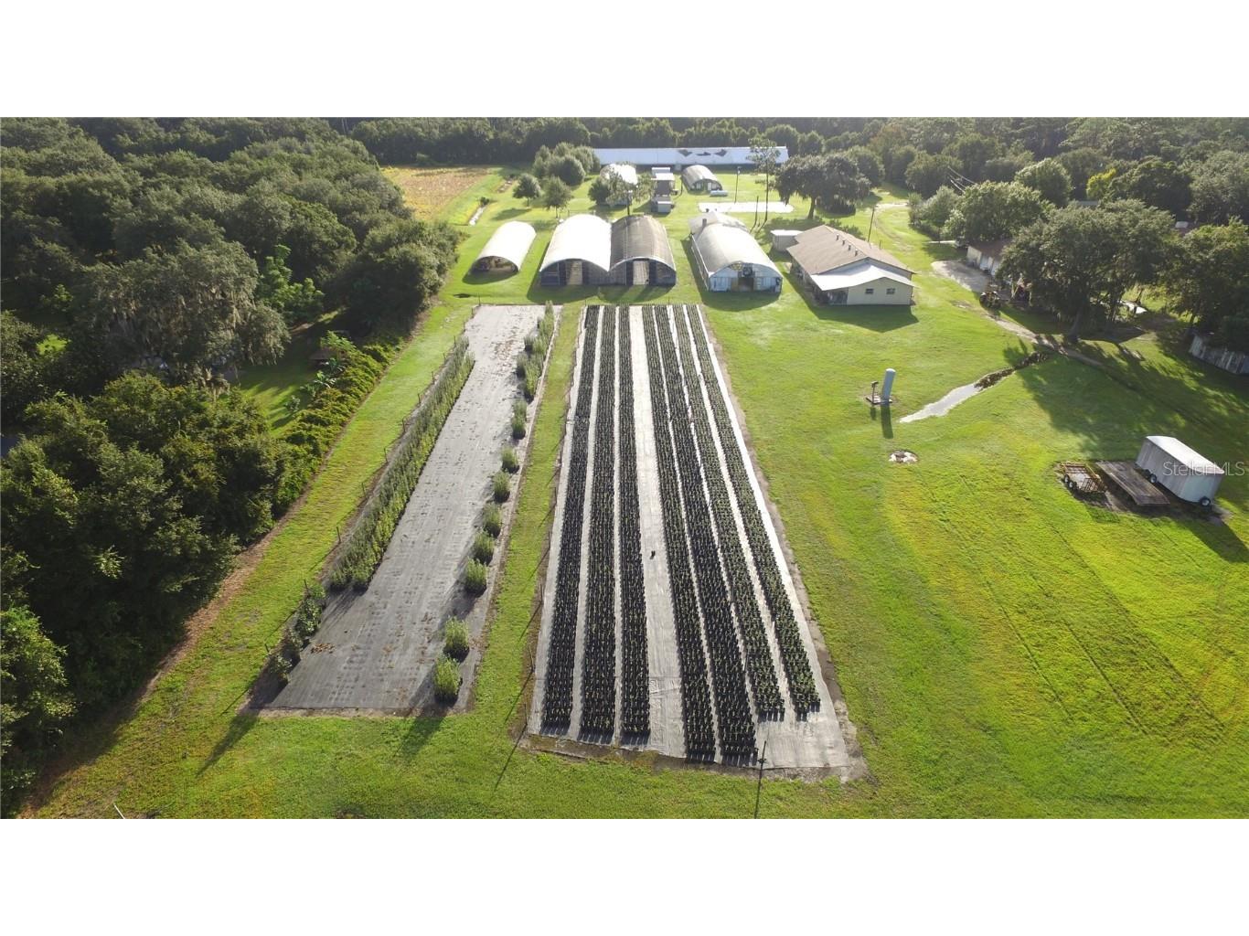 1800 Palmetto Drive Kissimmee FL 34744 S5057806 image1