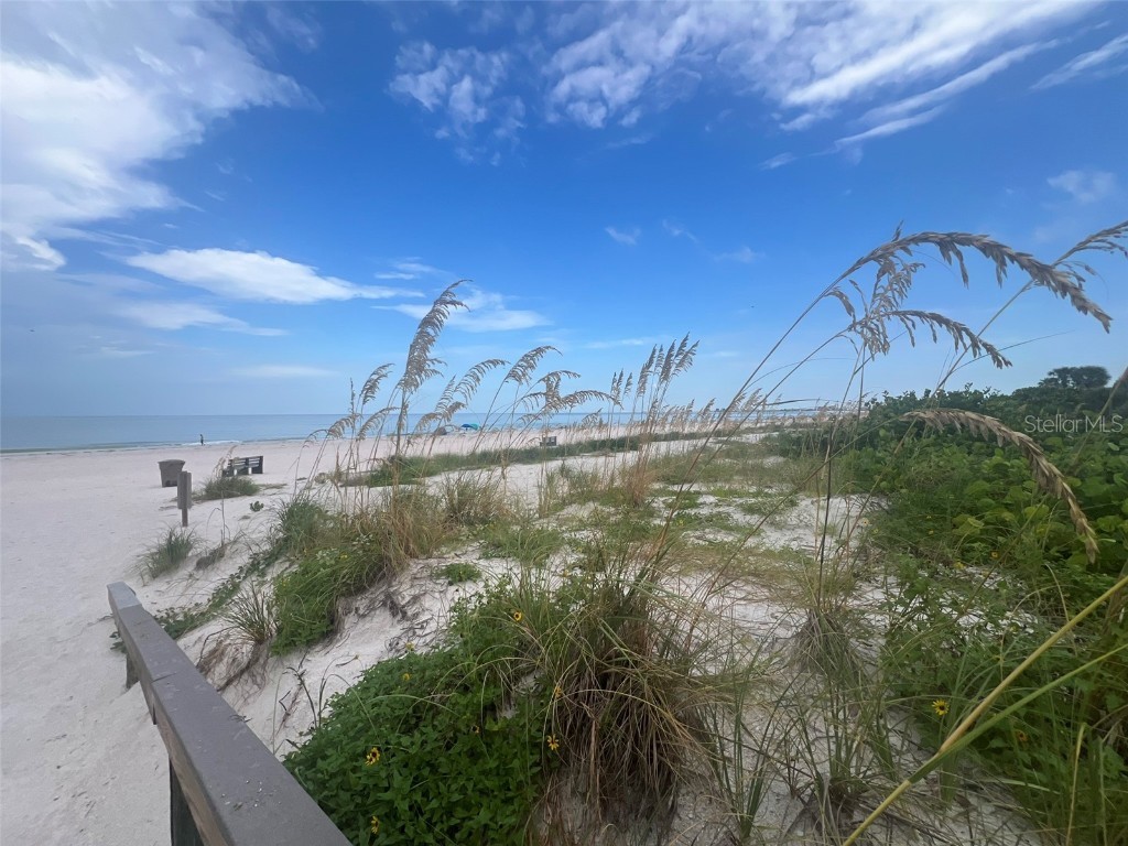 1800 Pass A Grille Way #4 Saint Pete Beach FL 33706 TB8419693 image24