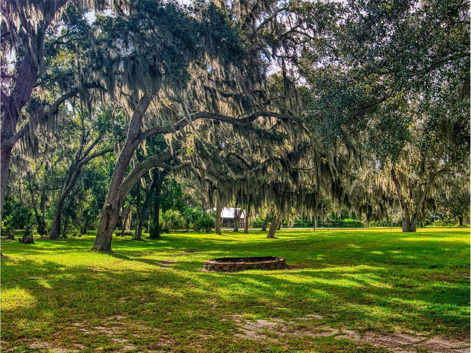 1800 Rendy Road New Smyrna Beach FL 32168 NS1086137 image67