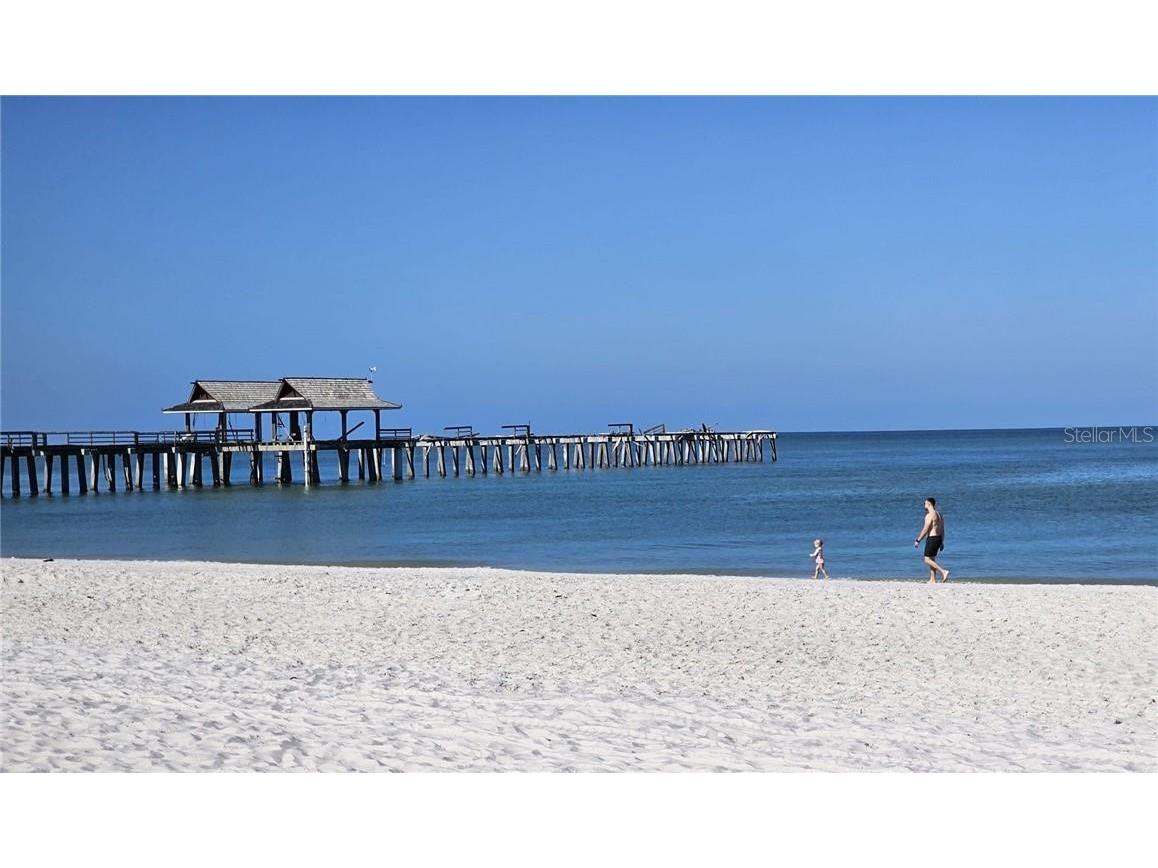 18001 Bluewater Drive Naples FL 34114 TB8355788 image12