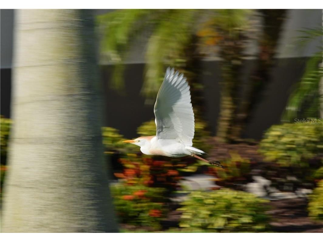 18001 Bluewater Drive Naples FL 34114 TB8355788 image18