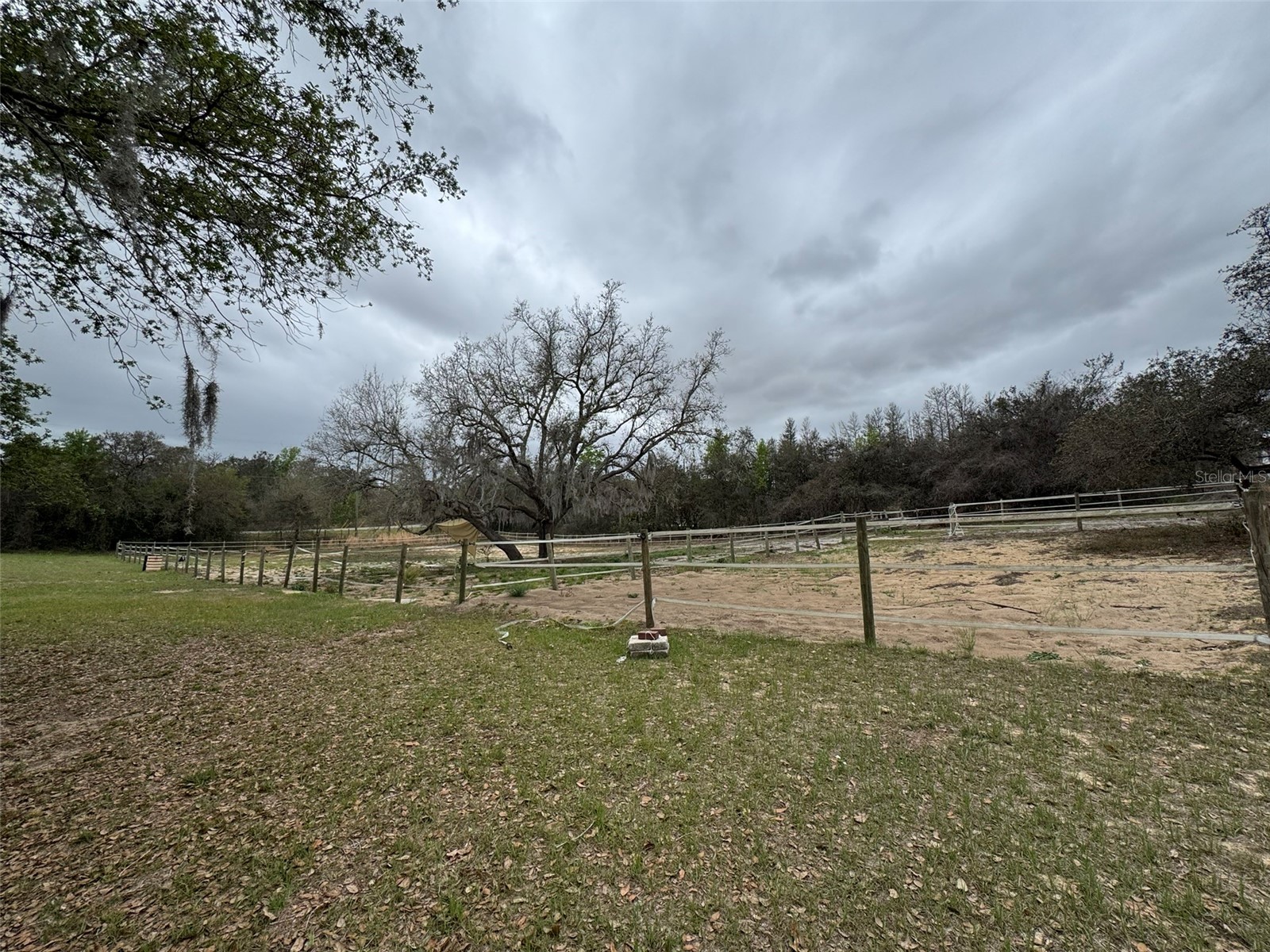 18001 Phil C Peters Road Winter Garden FL 34787 O6407385 image3