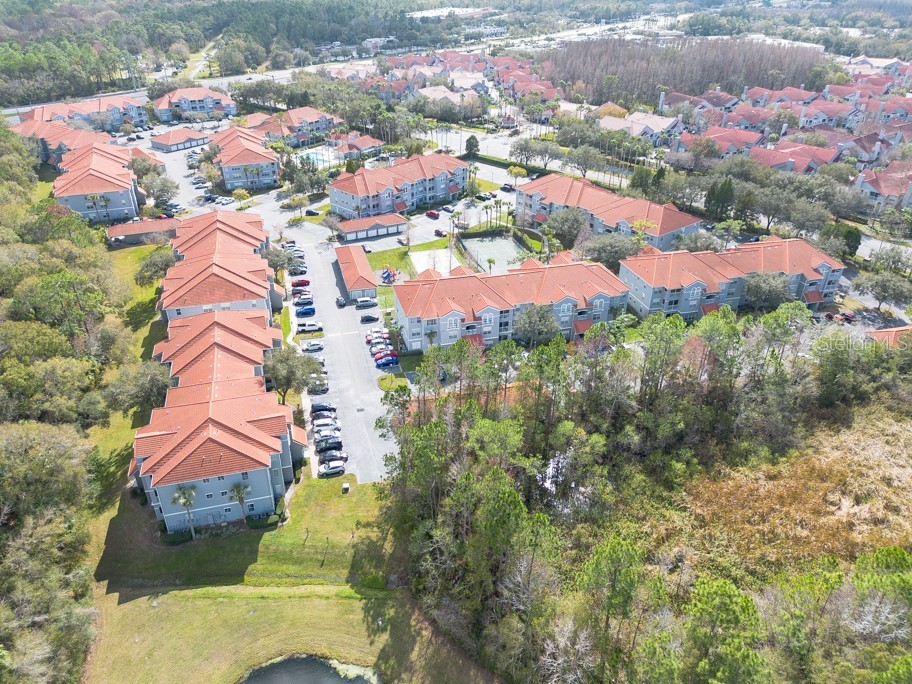 18001 Richmond Place Drive #1032 Tampa FL 33647 TB8364476 image45