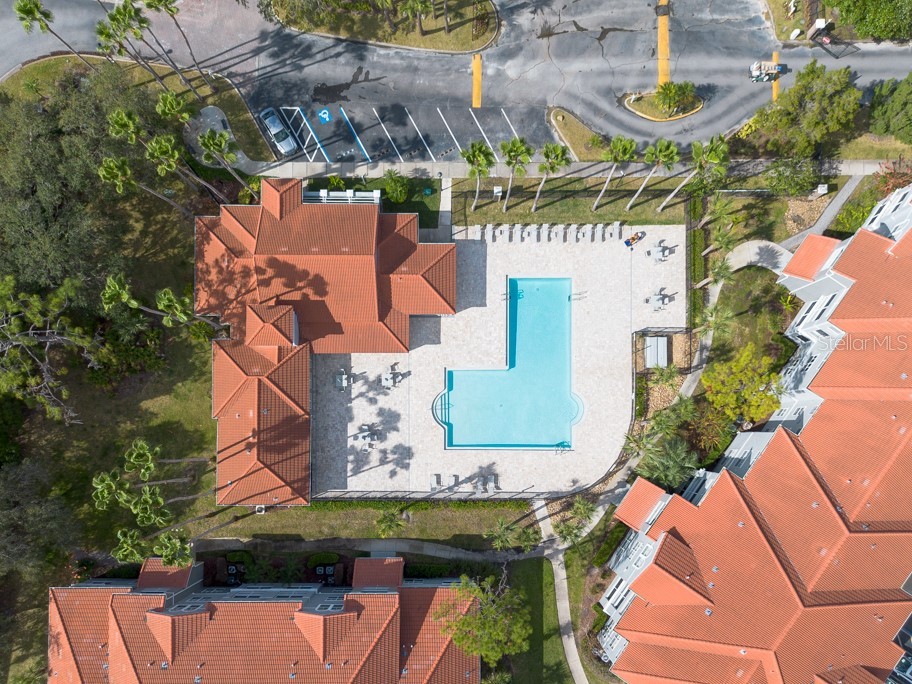 18001 Richmond Place Drive #1032 Tampa FL 33647 TB8364476 image49