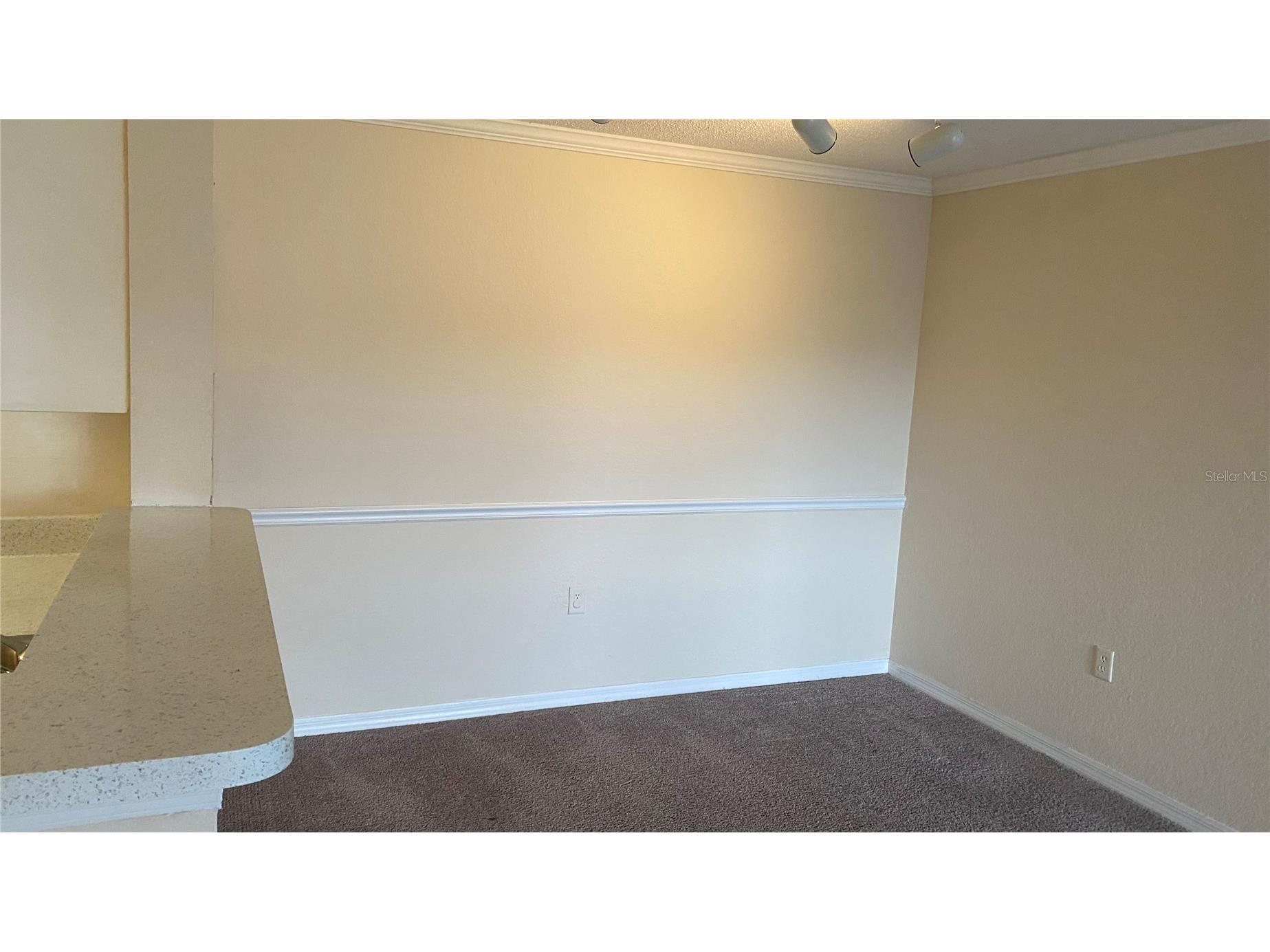 18001 Richmond Place Drive #1034 Tampa FL 33647 TB8513972 image13
