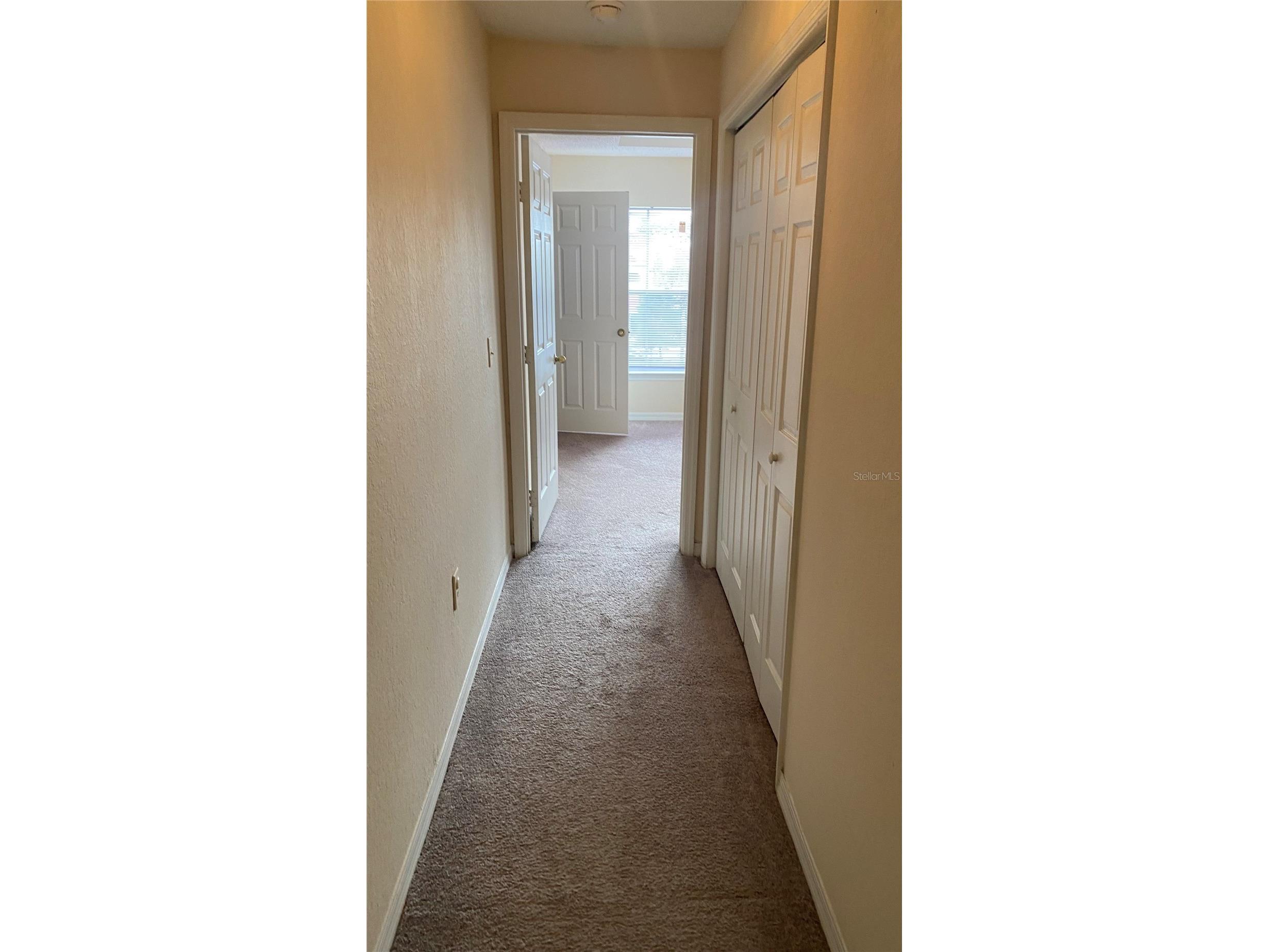 18001 Richmond Place Drive #1034 Tampa FL 33647 TB8513972 image31