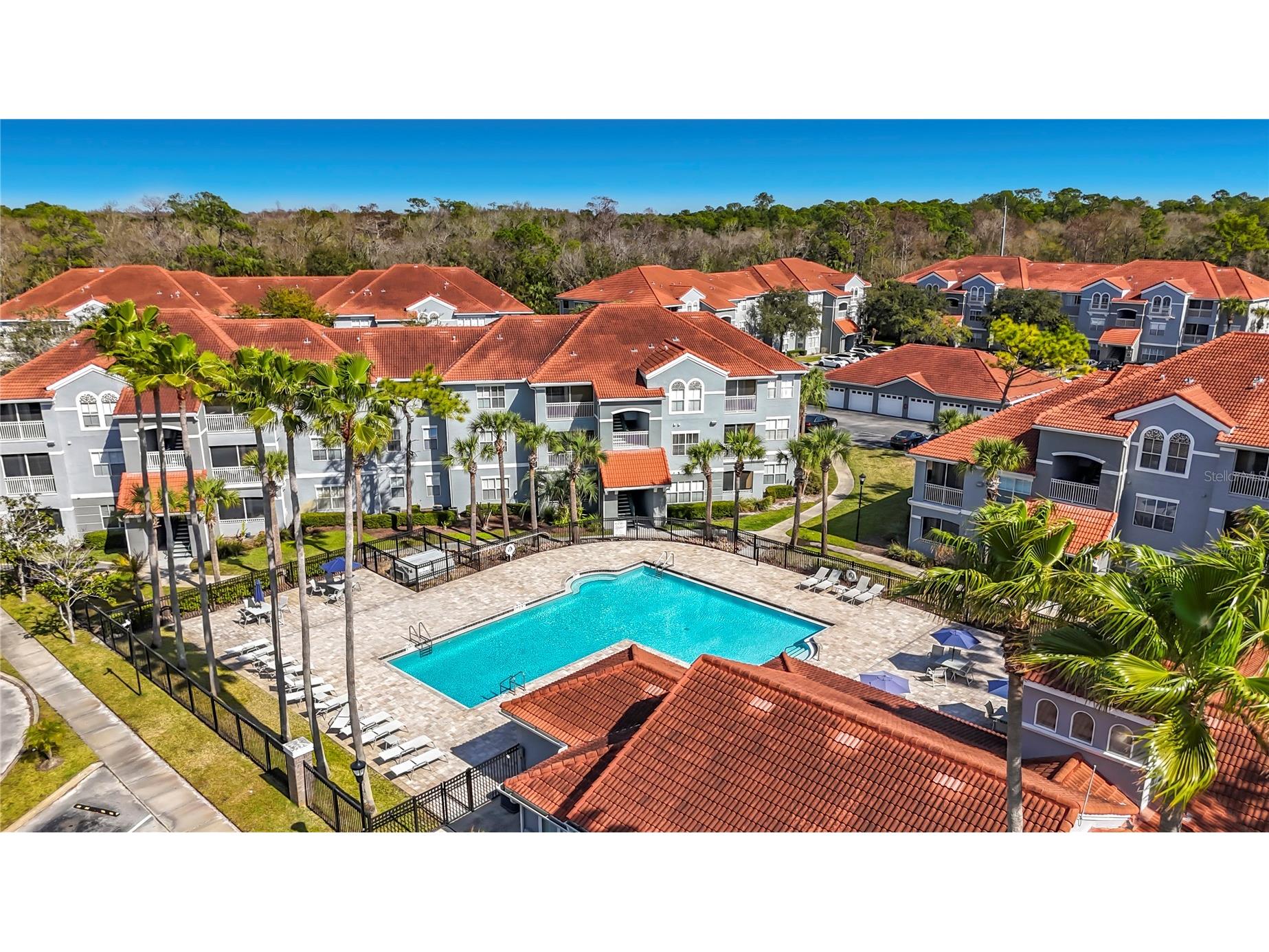 18001 Richmond Place Drive #1233 Tampa FL 33647 TB8479674 image33