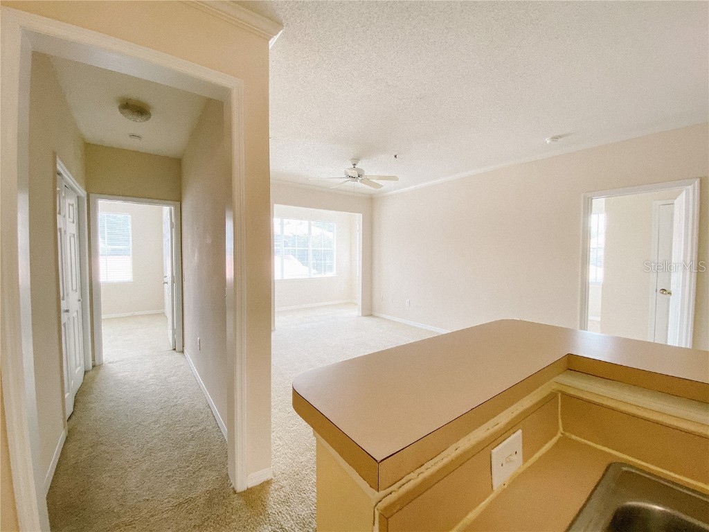 18001 Richmond Place Drive #222 Tampa FL 33647 TB8349681 image7