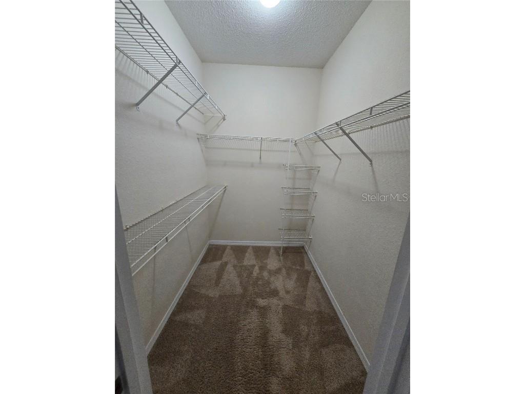 18001 Richmond Place Drive #222 Tampa FL 33647 TB8424960 image15