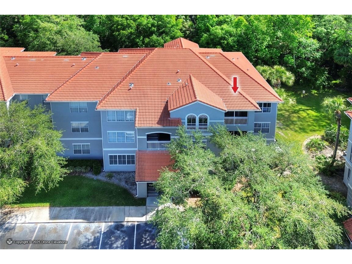 18001 Richmond Place Drive #337 Tampa FL 33647 L4953467 image1