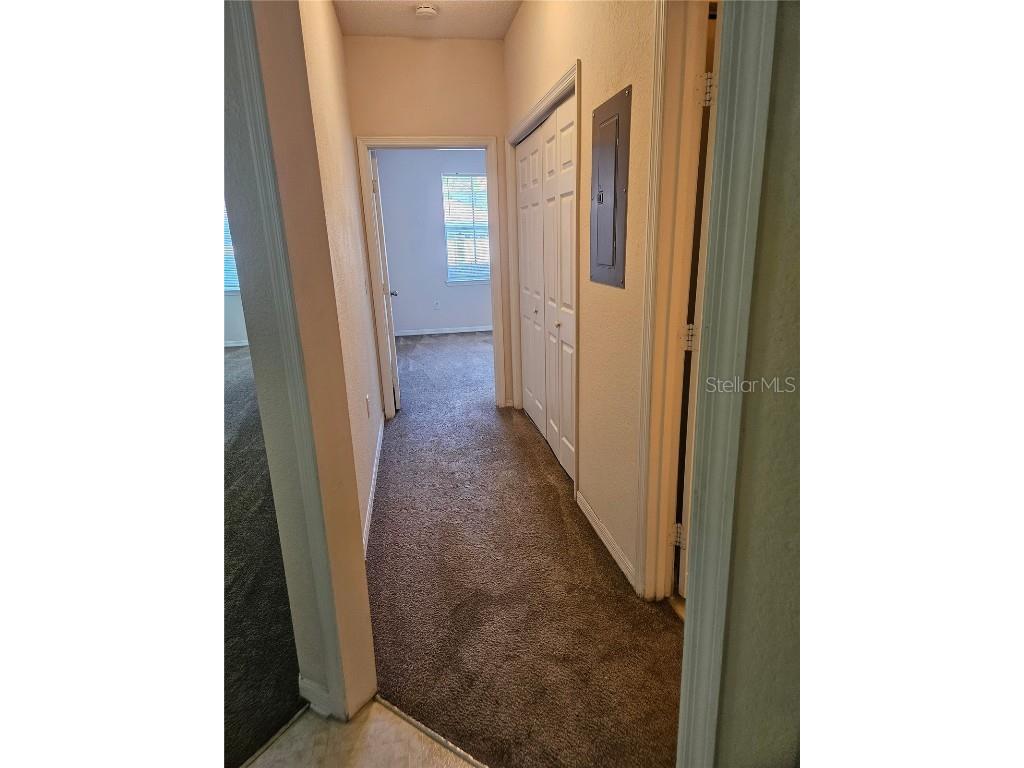 18001 Richmond Place Drive #517 Tampa FL 33647 TB8439754 image11