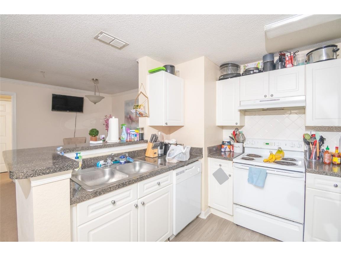 18001 Richmond Place Drive #735 Tampa FL 33647 C7517235 image4