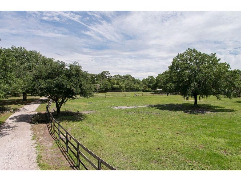 18002 Mckinnon Road Odessa FL 33556 T3232314 image1