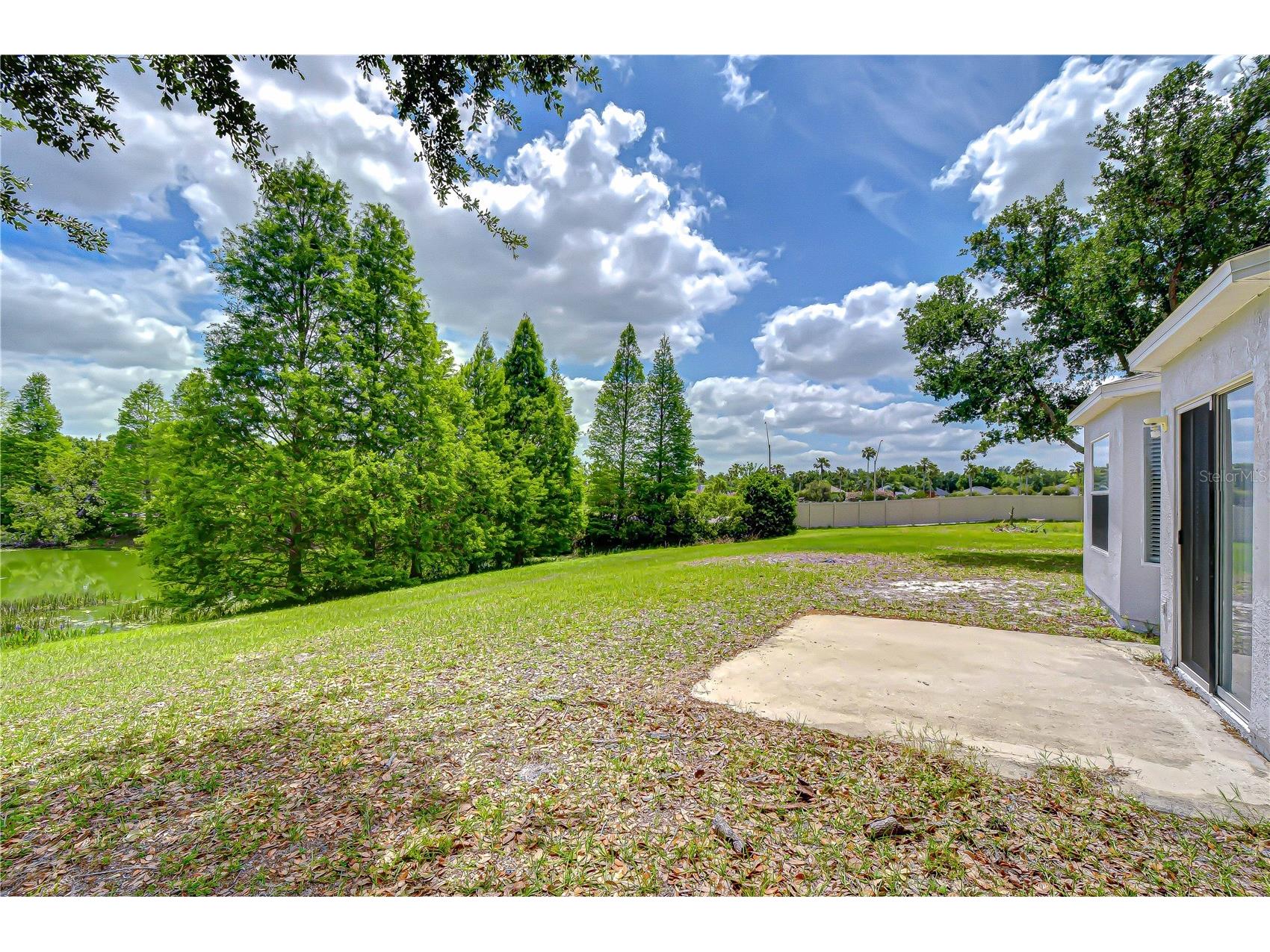 18003 Birdwater Drive Tampa FL 33647 TB8497839 image34