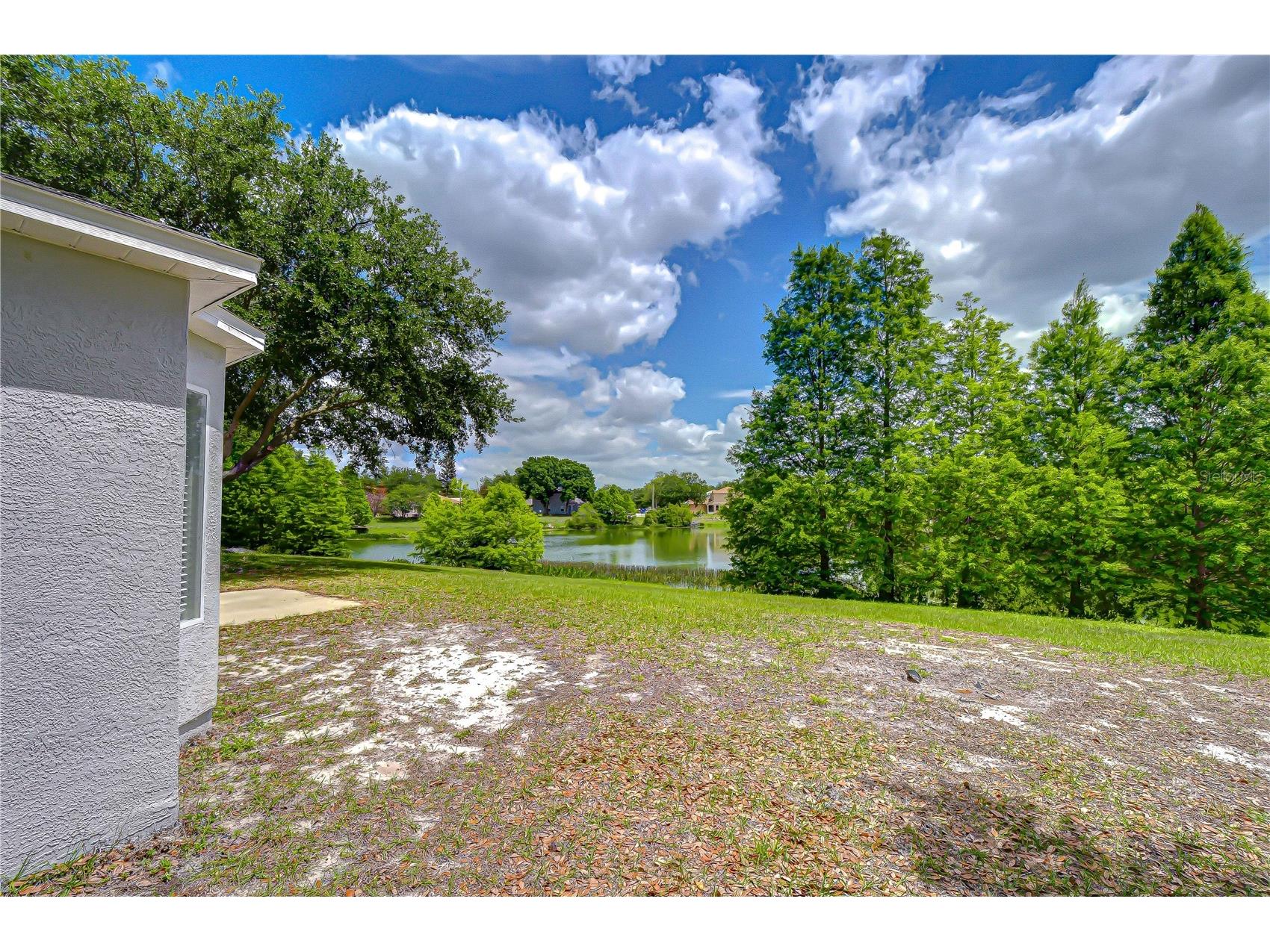 18003 Birdwater Drive Tampa FL 33647 TB8497839 image36