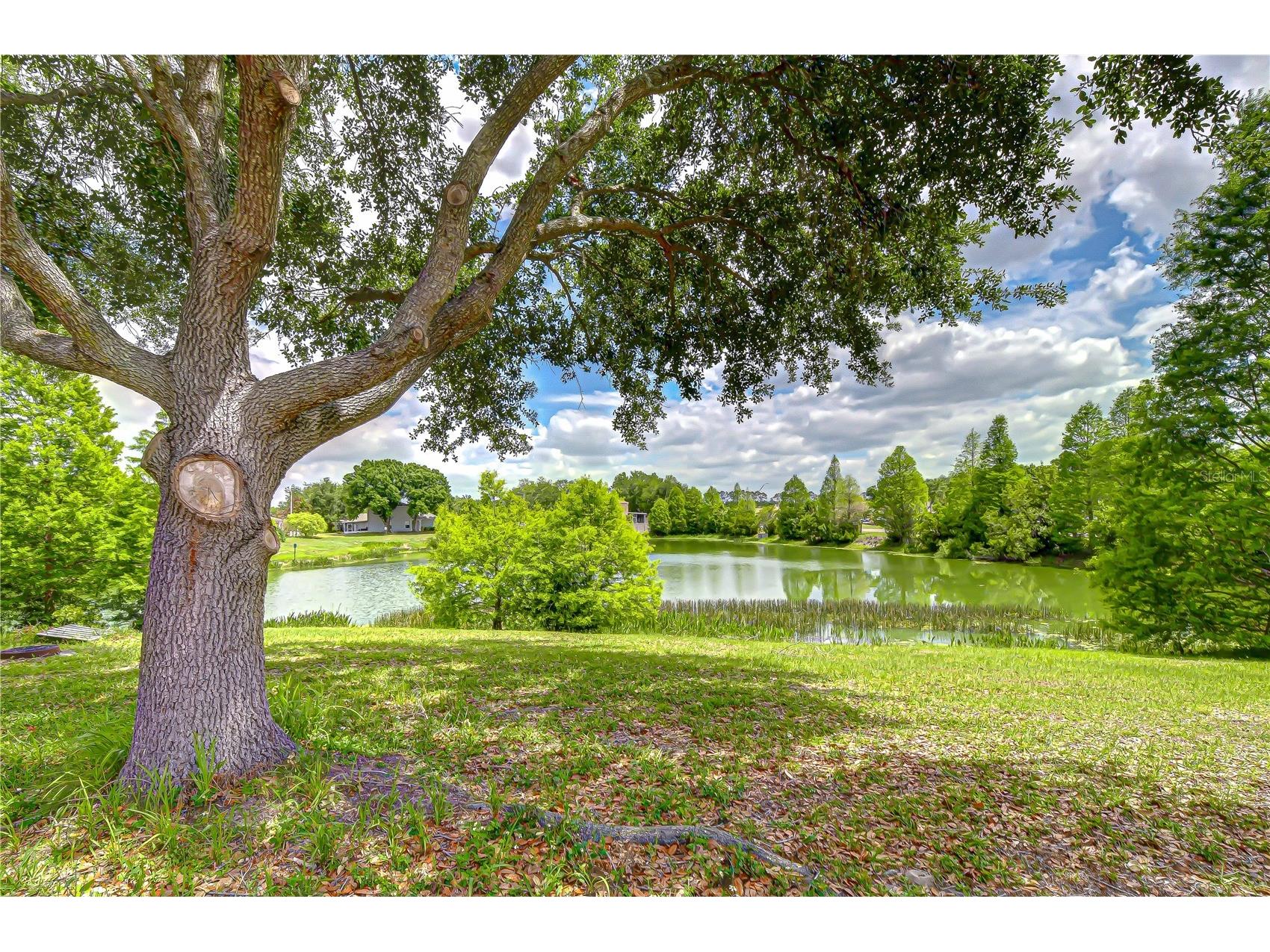 18003 Birdwater Drive Tampa FL 33647 TB8497839 image39