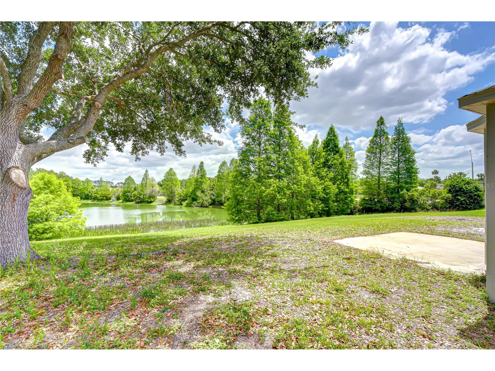 18003 Birdwater Drive Tampa FL 33647 TB8497839 image40