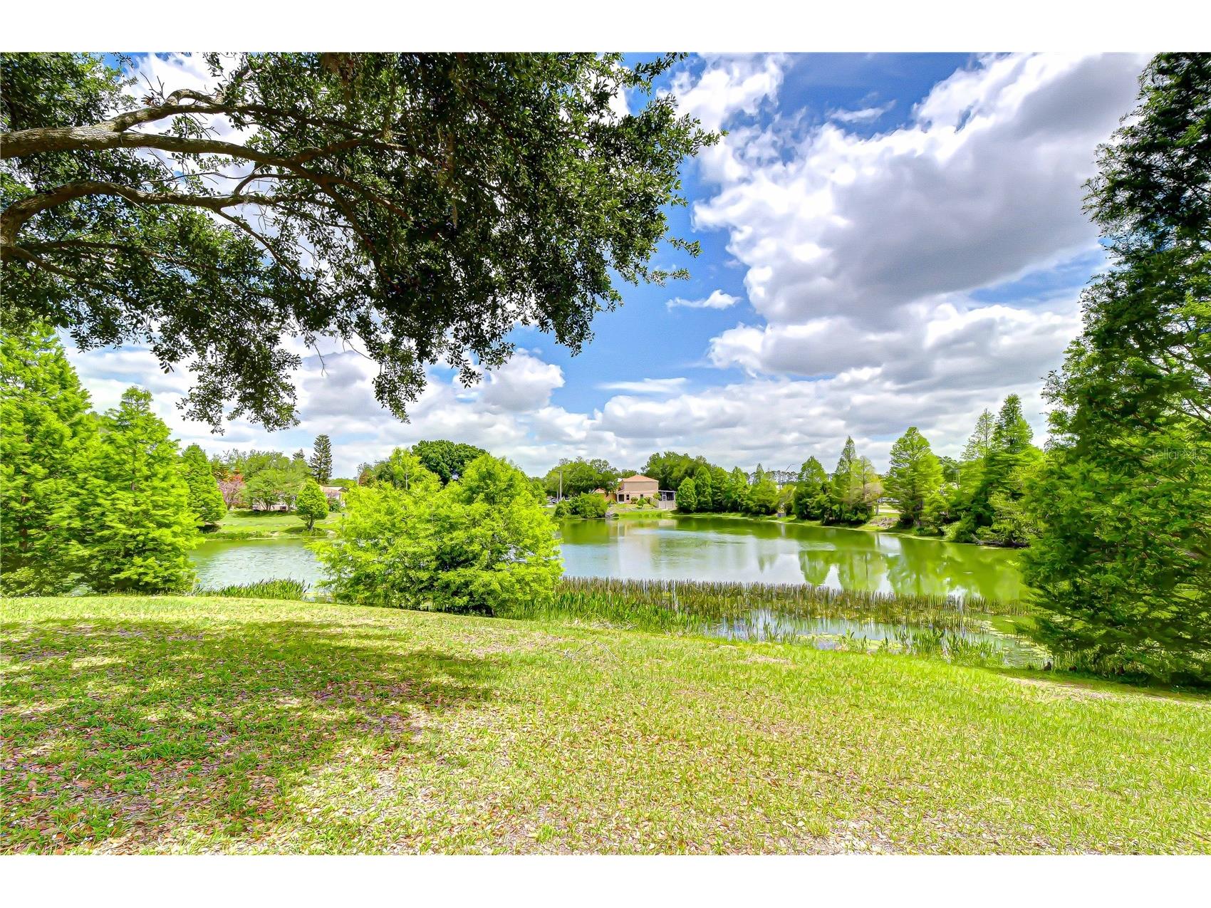 18003 Birdwater Drive Tampa FL 33647 TB8497839 image41