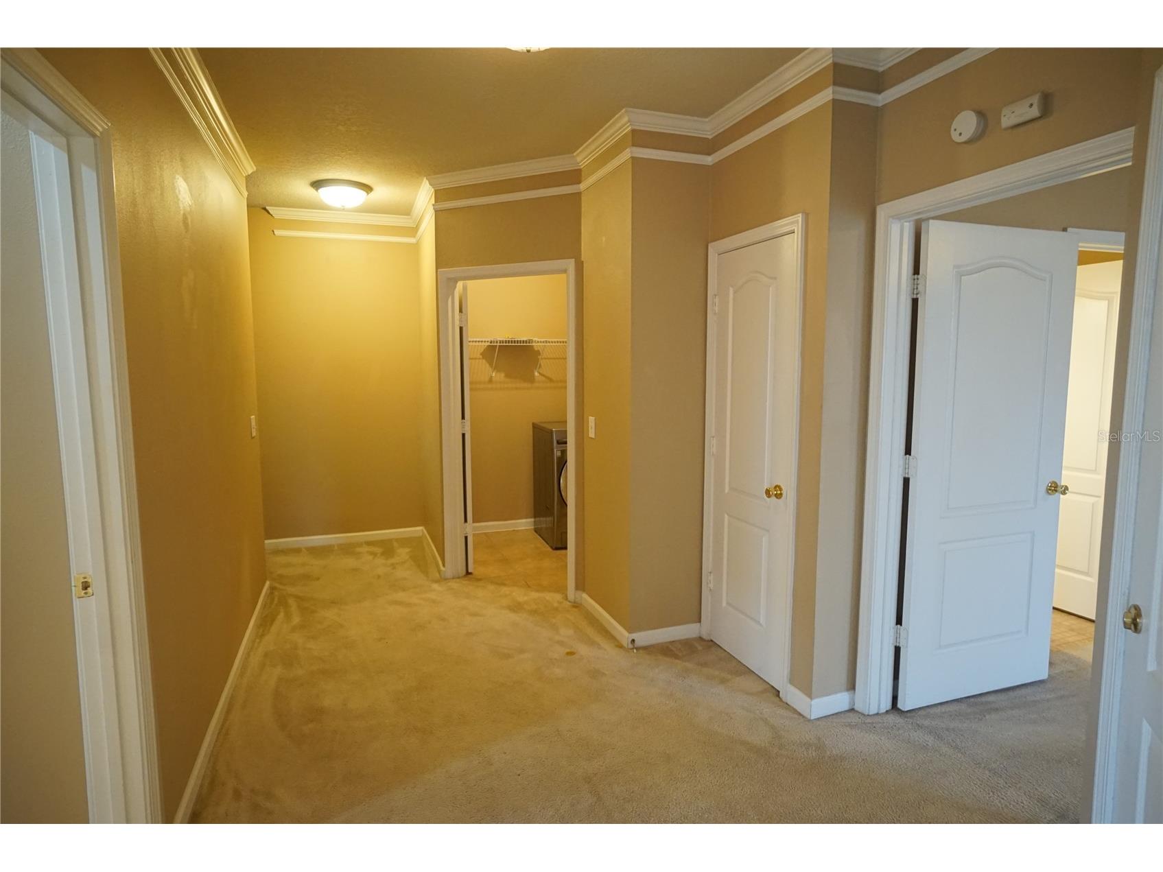 18004 Villa Creek Drive Tampa FL 33647 TB8523621 image12
