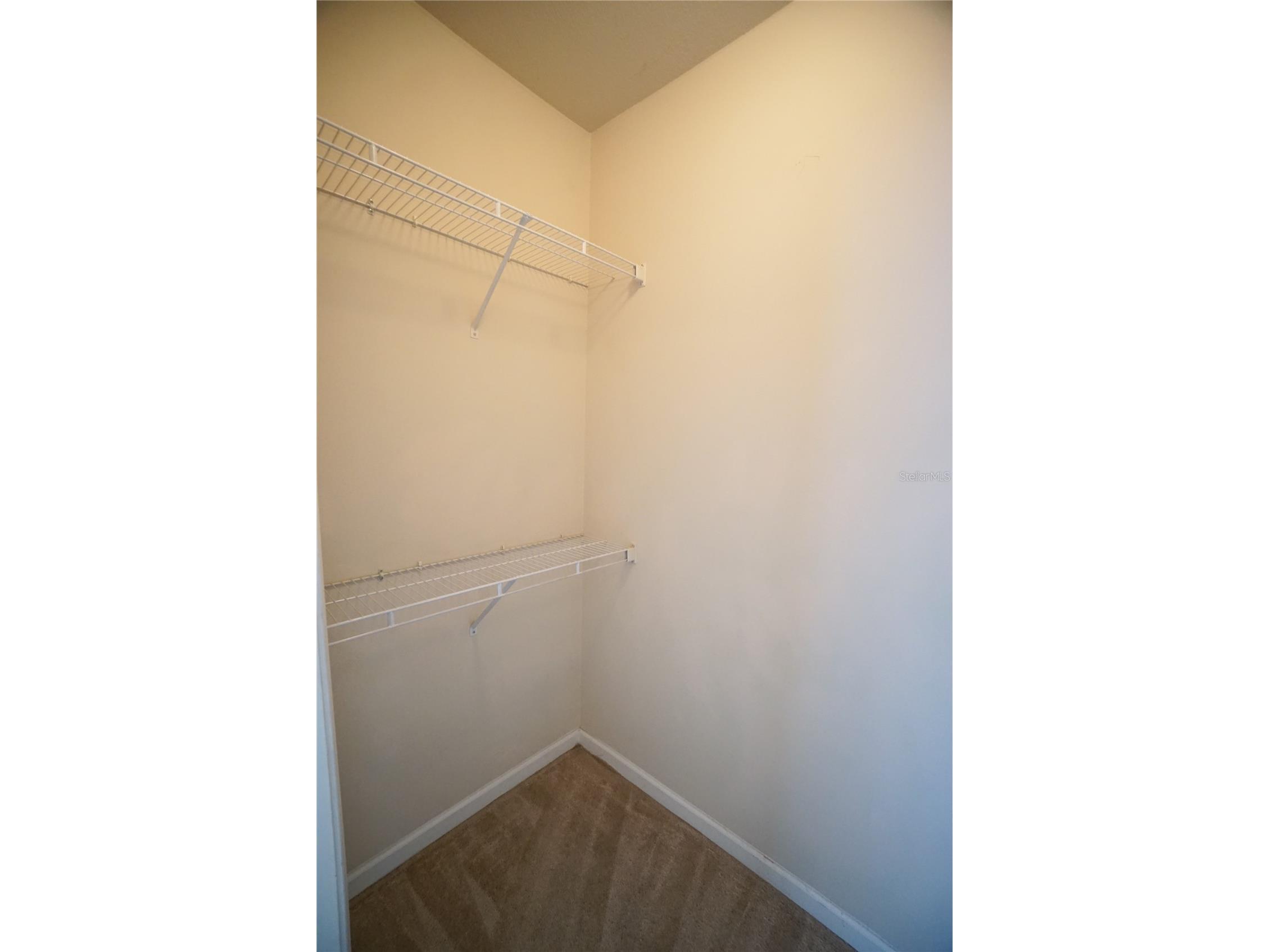 18004 Villa Creek Drive Tampa FL 33647 TB8523621 image15