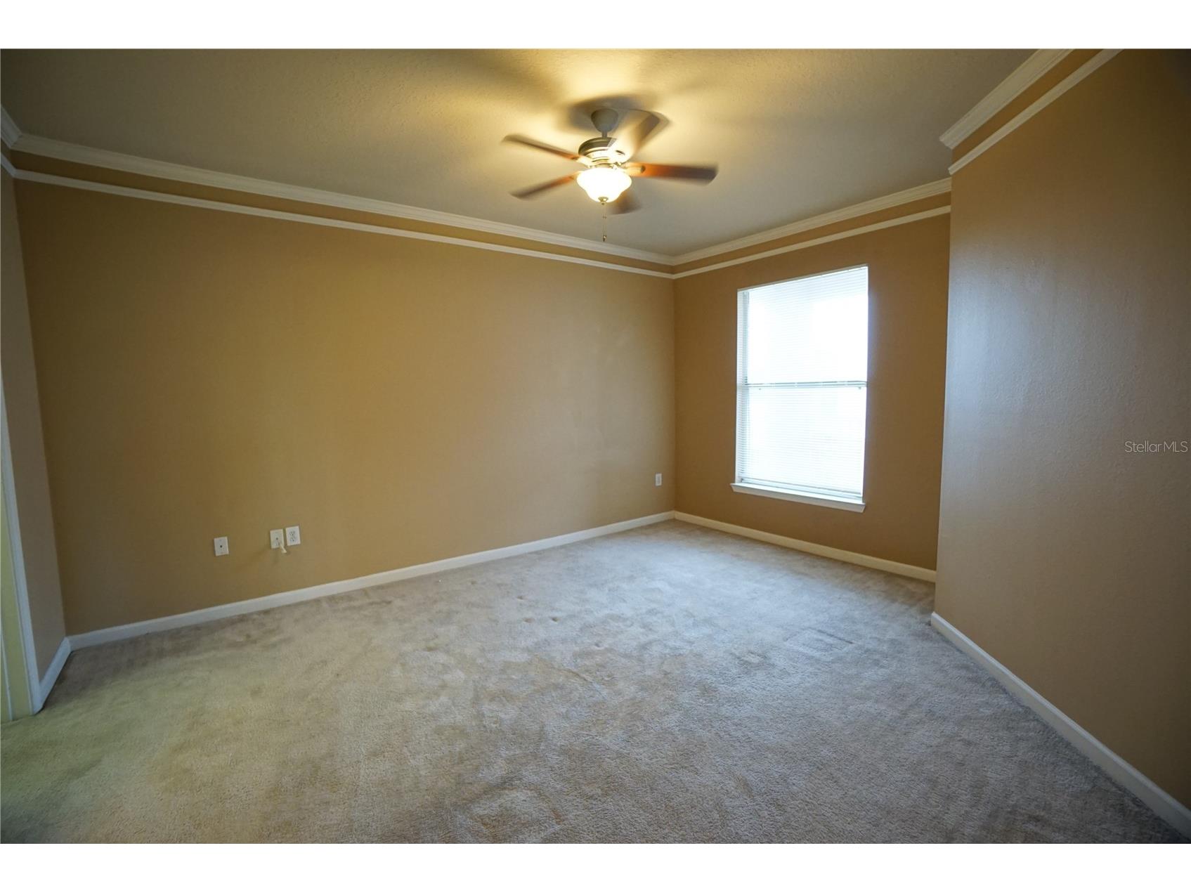 18004 Villa Creek Drive Tampa FL 33647 TB8523621 image16