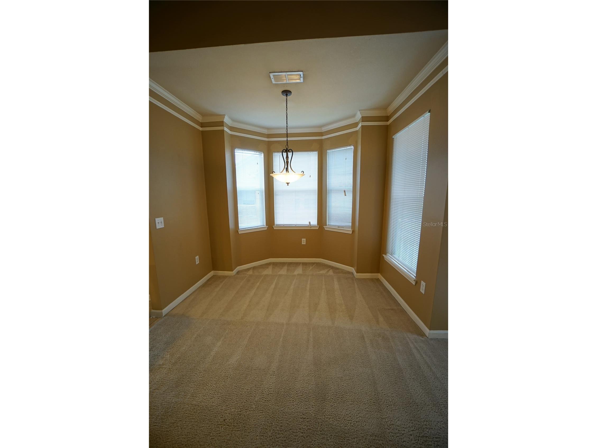 18004 Villa Creek Drive Tampa FL 33647 TB8523621 image8