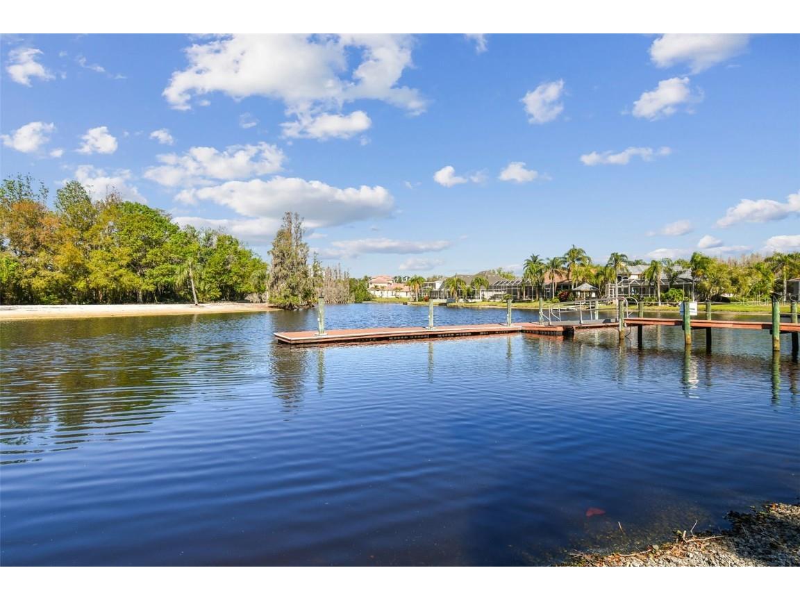 18005 Malakai Isle Drive Tampa FL 33647 - CORY LAKE TB8420628 image74