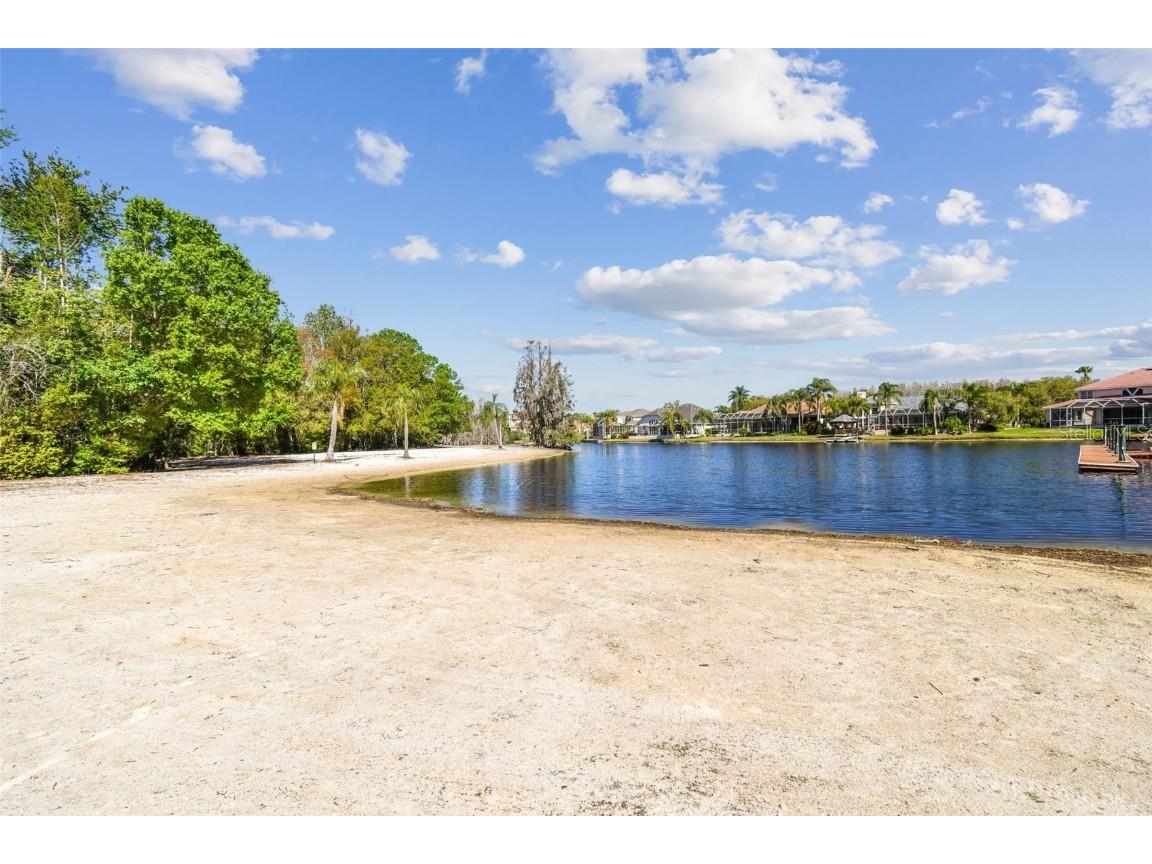 18005 Malakai Isle Drive Tampa FL 33647 - CORY LAKE TB8420628 image75